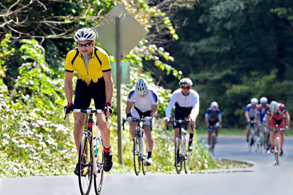 Mountain Bike Tour 7