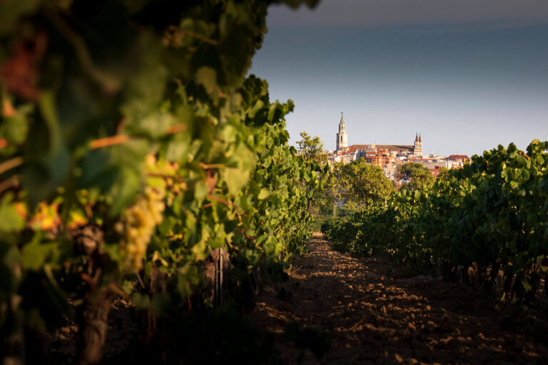 Penedès